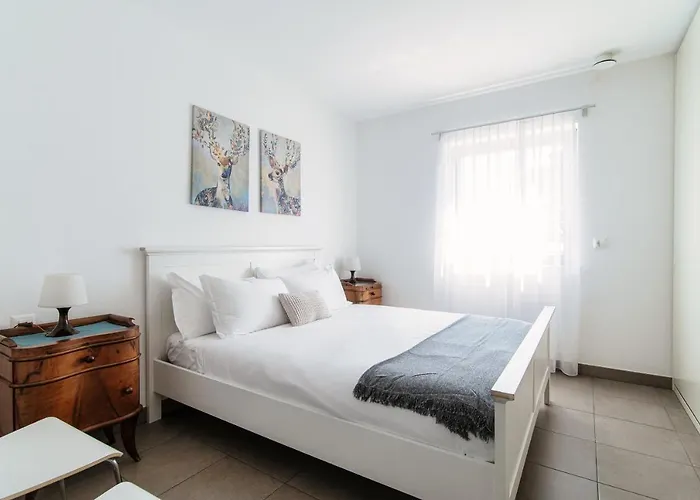 Casa Mummi By Quokka 360 - With Garden 5 Min From Ascona *